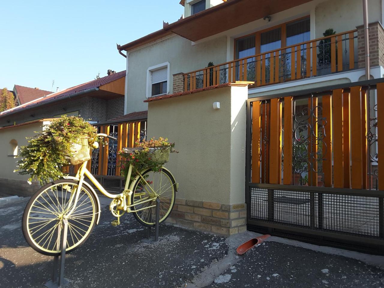 Eurovelo6 Stop Solt Dış mekan fotoğraf